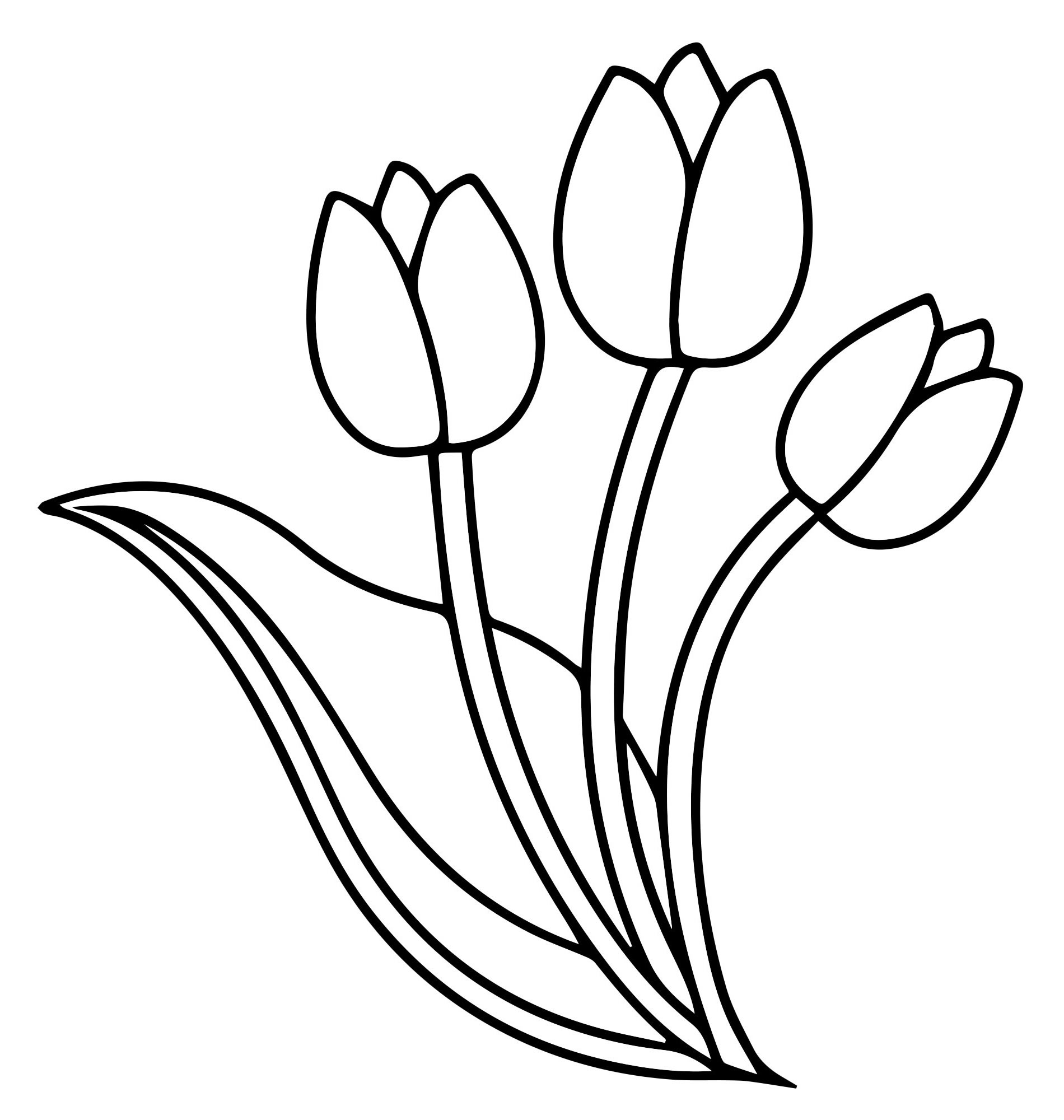 Раскраски тюльпан (природа) – Бесплатные раскраски для печати