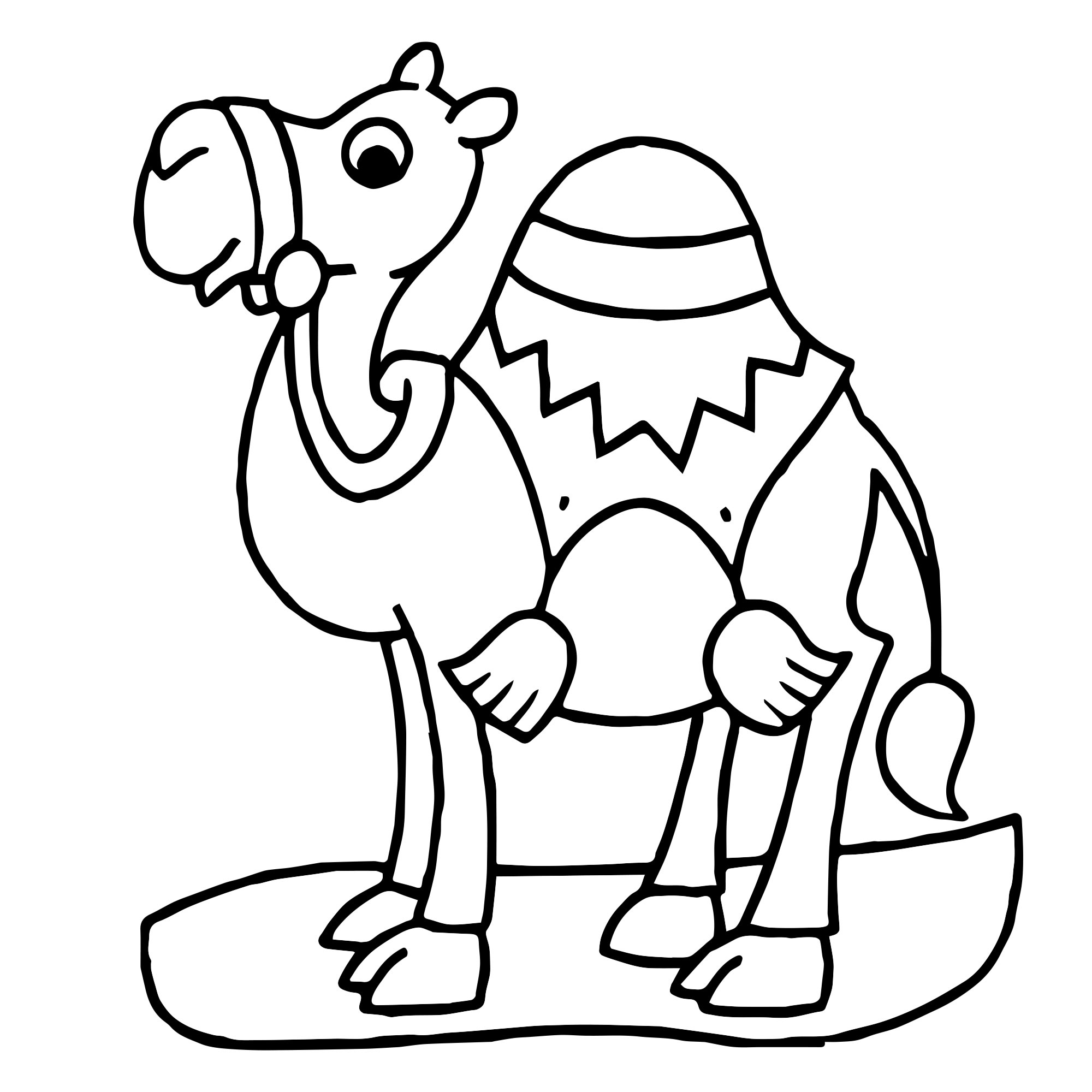 Верблюд раскраска для детей