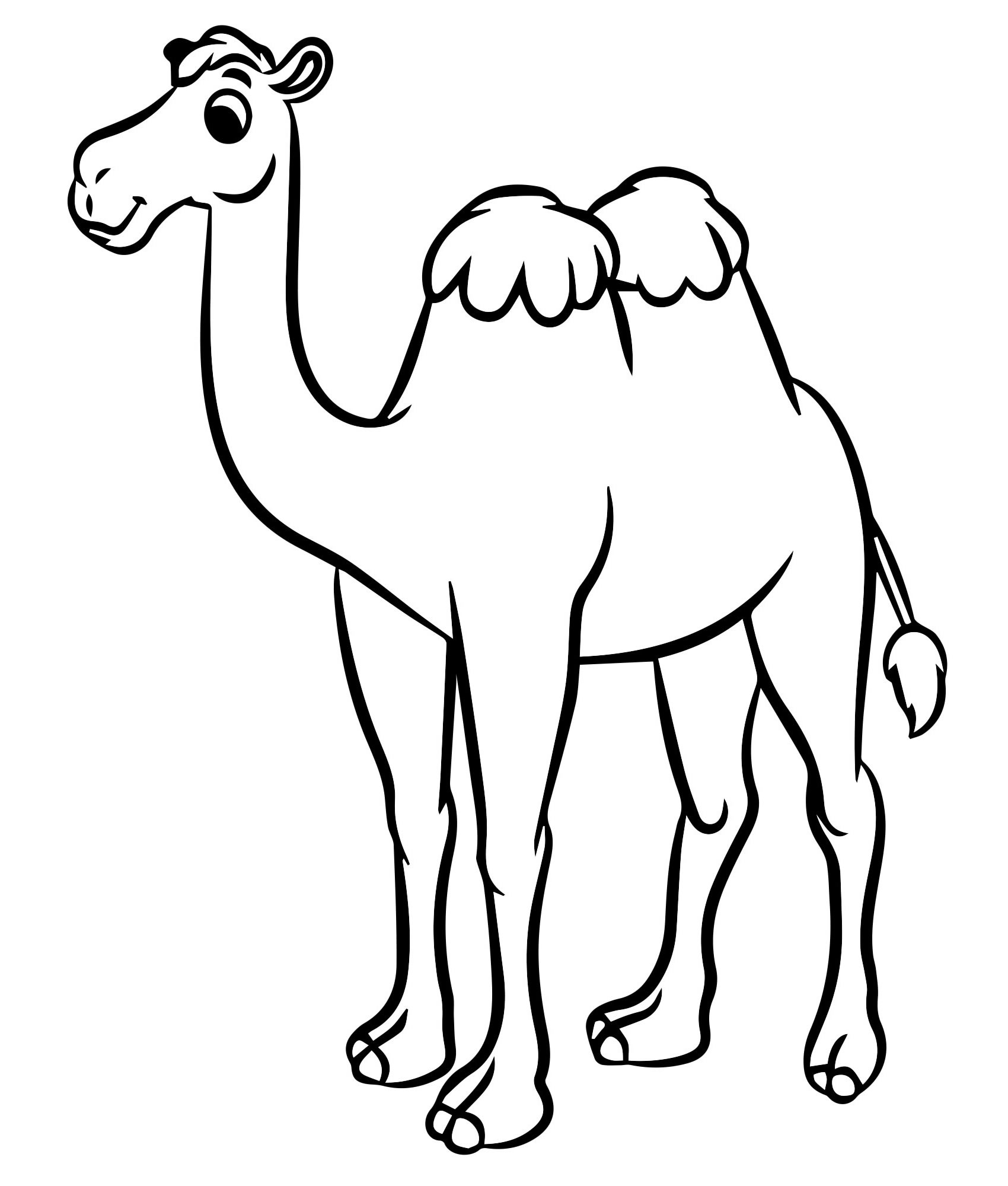 Красивый верблюд раскраска для детей