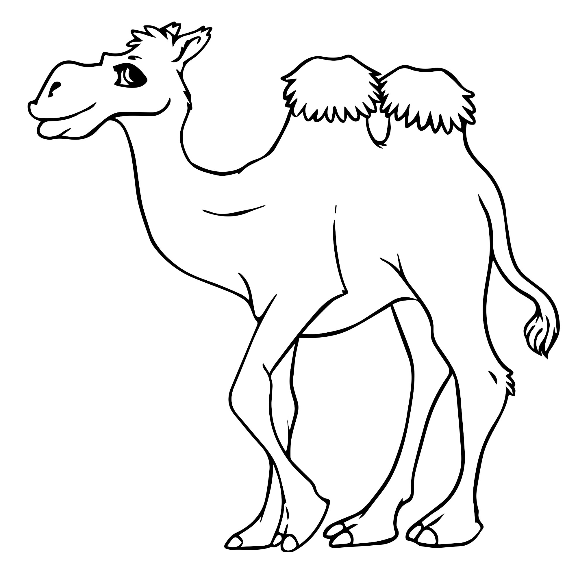 Большой верблюд раскраска для детей
