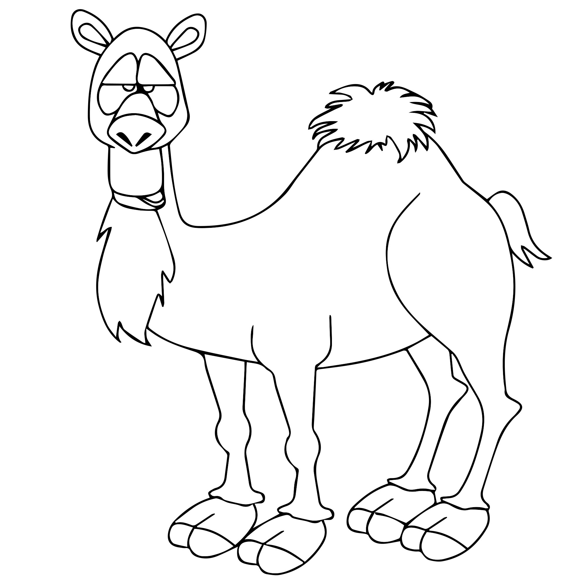 Добрый верблюд раскраска для детей
