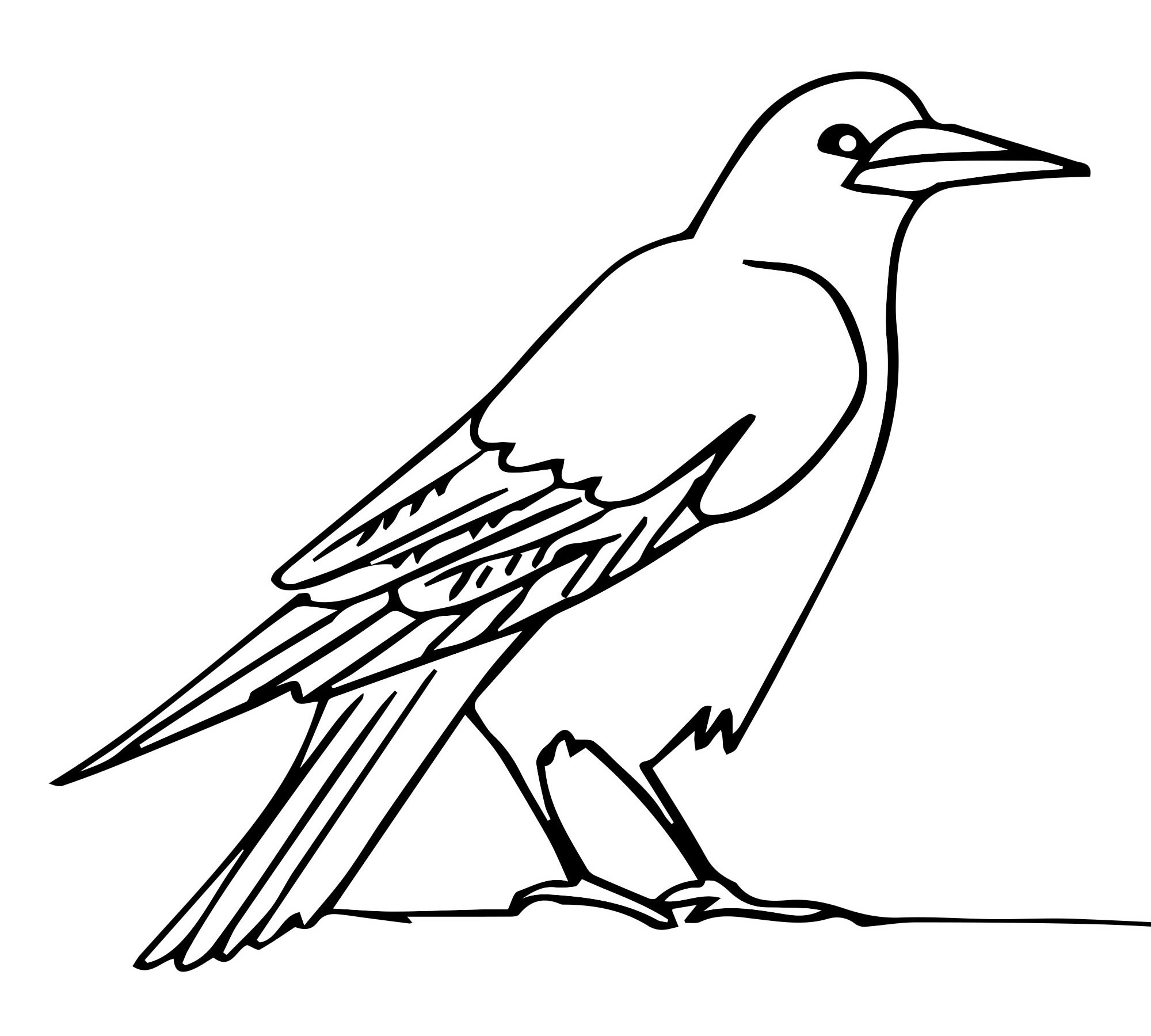 Раскраска ворона для малышей – Математические картинки