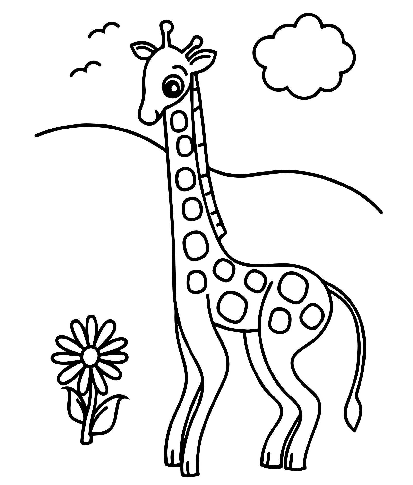 Раскраска Жираф белый шоколад