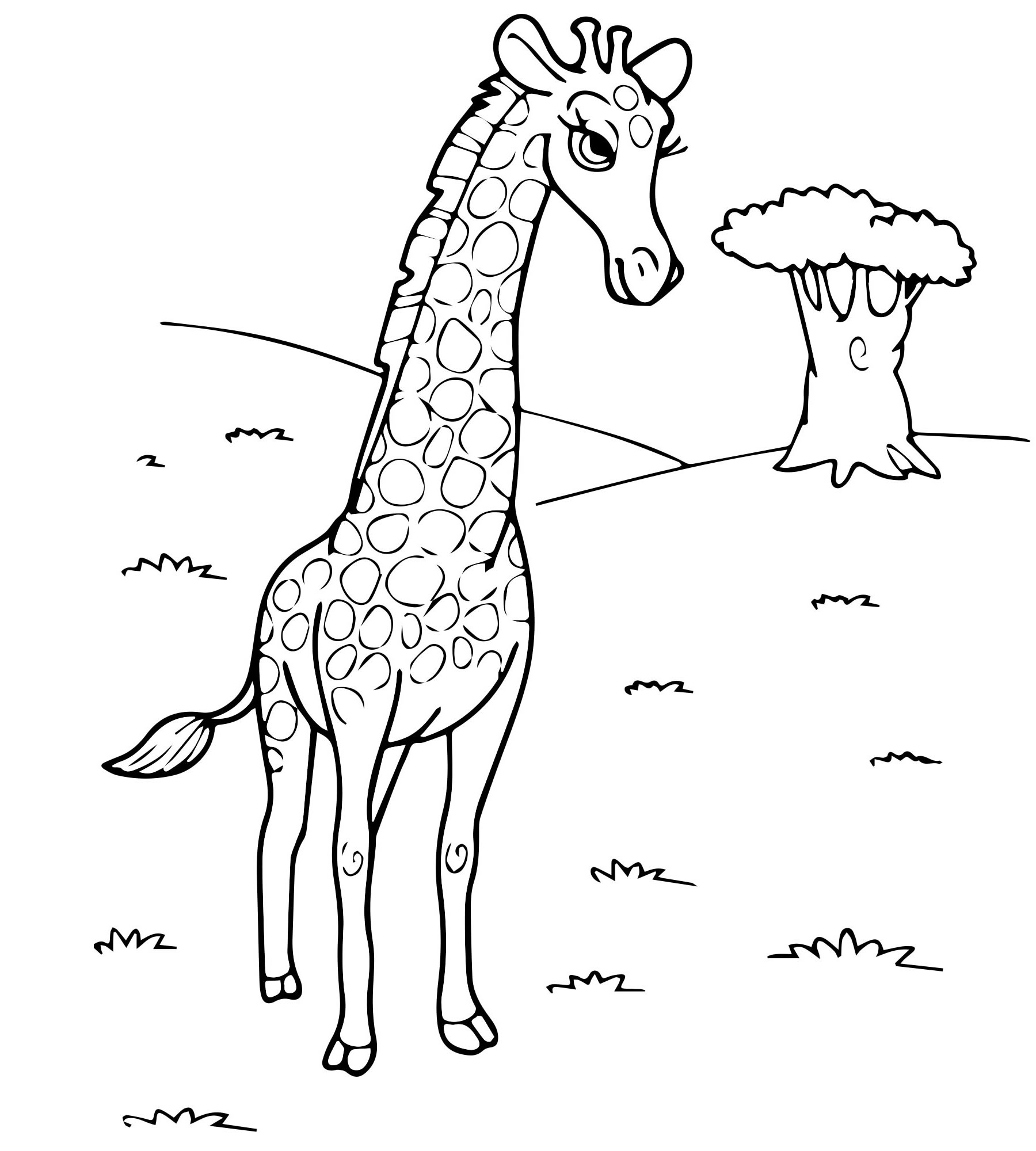 Жираф на поляне раскраска для детей