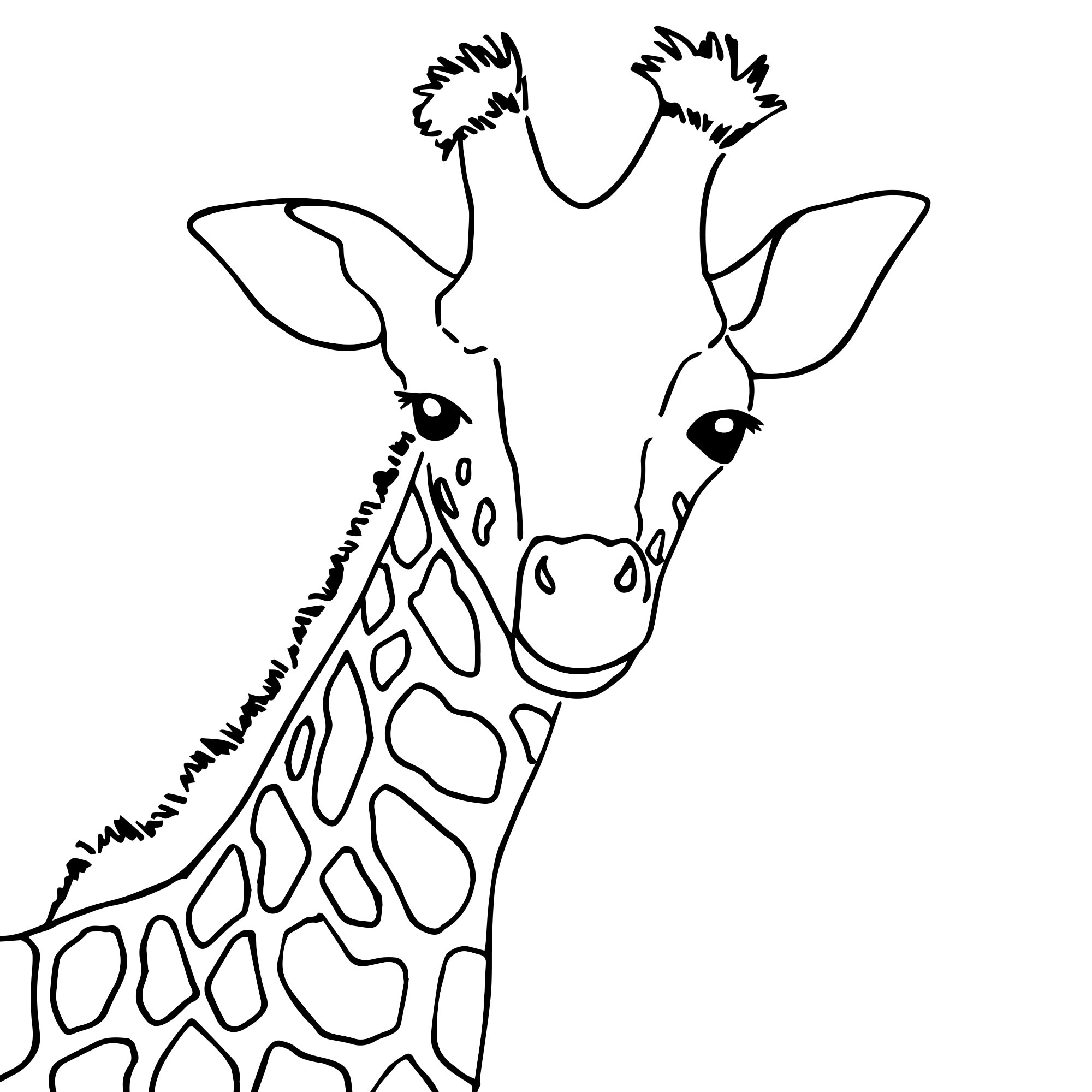 Лицо жирафа раскраска для детей